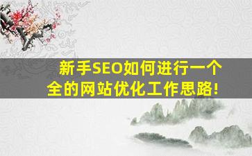 新手SEO如何进行一个全的网站优化工作思路!