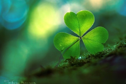 受伤了的心酸说说伤感最新版:人和人出场的顺序很重要2