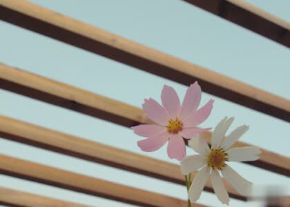 心情很差的说说大全:我装作无所谓,却发现你是真的不在乎