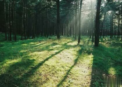 难过的QQ说说心情短语:我们在同一个时区,却有一辈子的时差