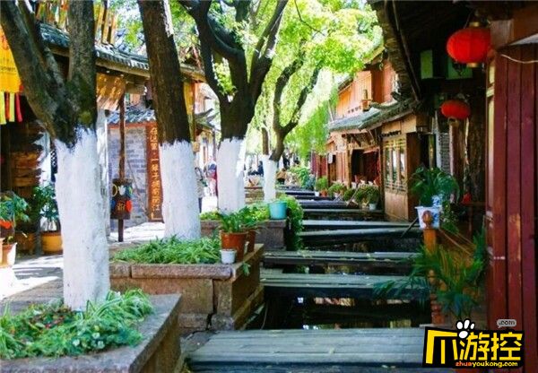 走着瞧旅行云南之旅带我走进诗意的梦境