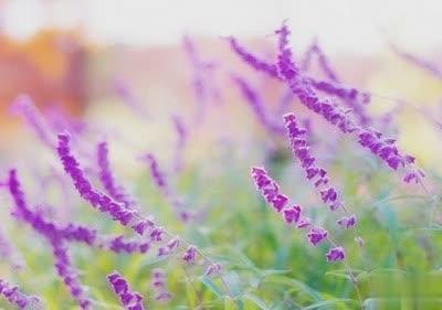 QQ空间说说伤感的:原来,没有哪个人,能够成为你的永远