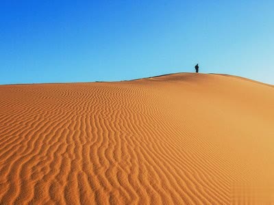 伤人的说说:有的人就算你为他化成灰,他也会把你吹得远远的