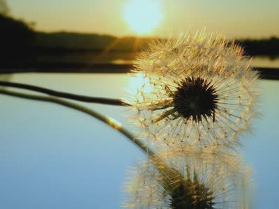 90后伤感QQ说说:你总说毕业遥遥无期,转眼间,我们就各奔东西