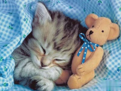 关于单身的伤感说说,QQ单身说说大全