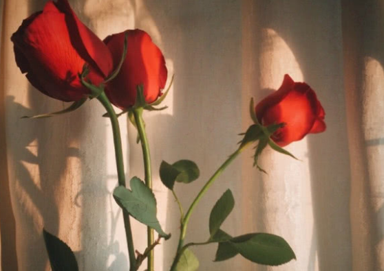 2021伤感说说最新版,2021伤感说说大全 2021伤感说说最新版,2021伤感说说大全