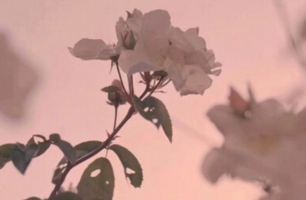 伤感说说短句子大全:可能就是这么巧,我一找你,你就要睡觉 伤感说说短句子大全:可能就是这么巧,我一找你,你就要睡觉