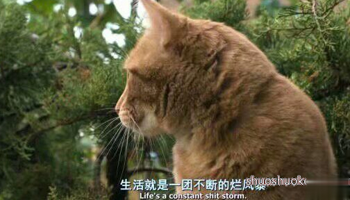 伤感说说2018心累了：遗憾吗，我们就这样莫名其妙的谁也不喜欢谁了2