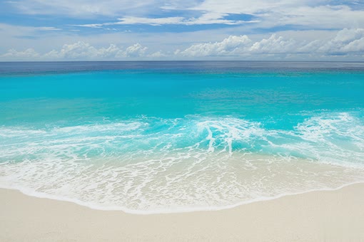 看透了的伤感爱情说说:病了几场我终于活成了百毒不侵的模样1