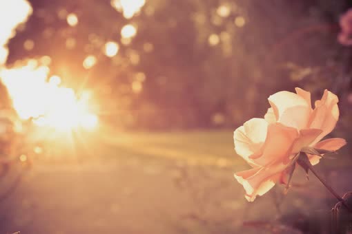 我不哭不闹，并不代表我不痛，是因为我真的爱你2