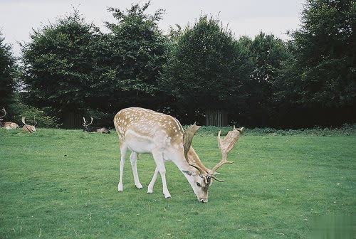 关于分离分别的伤感说说 每个人都是孤独的伤感说说20182