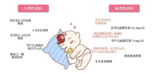 黄疸指数4.7是多少钱