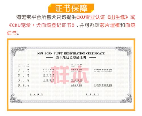 cku出生纸怎么这么慢