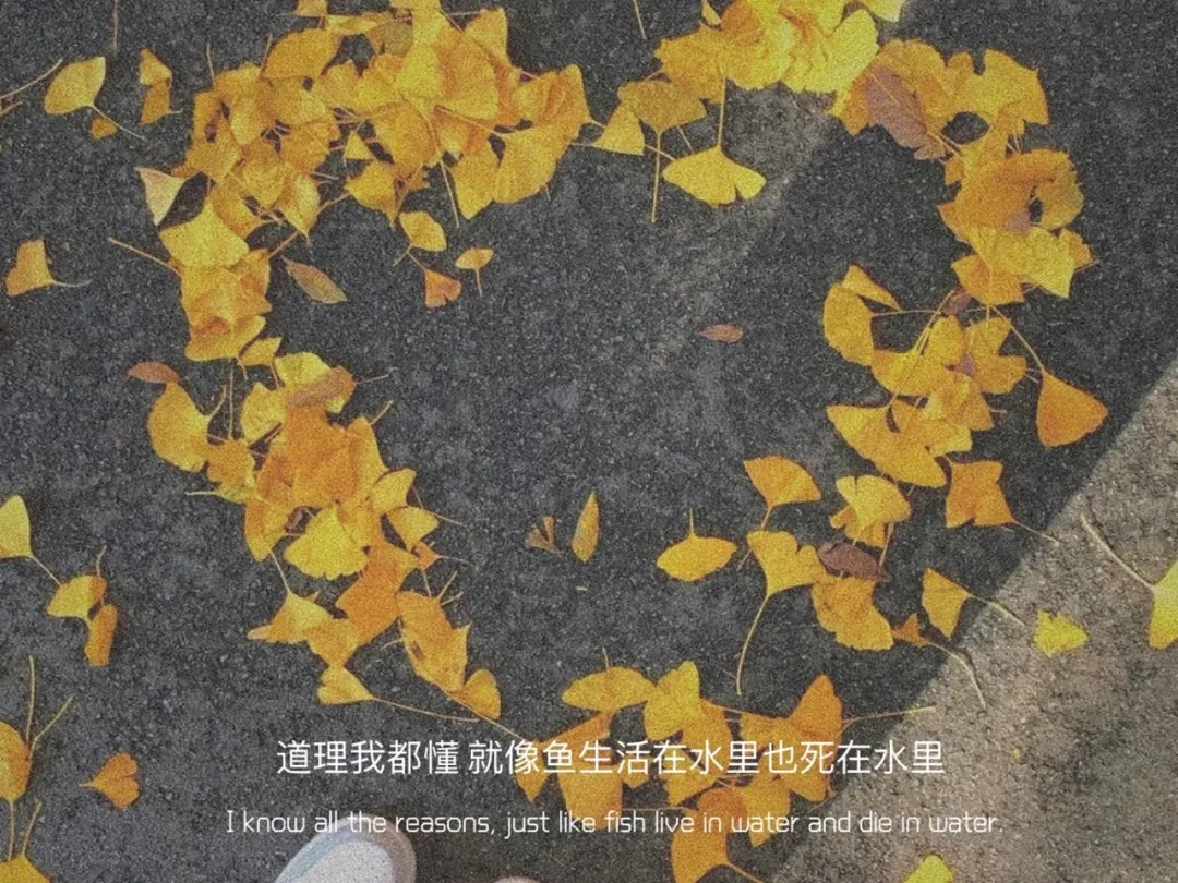 1640649898200807.webp 640.webp